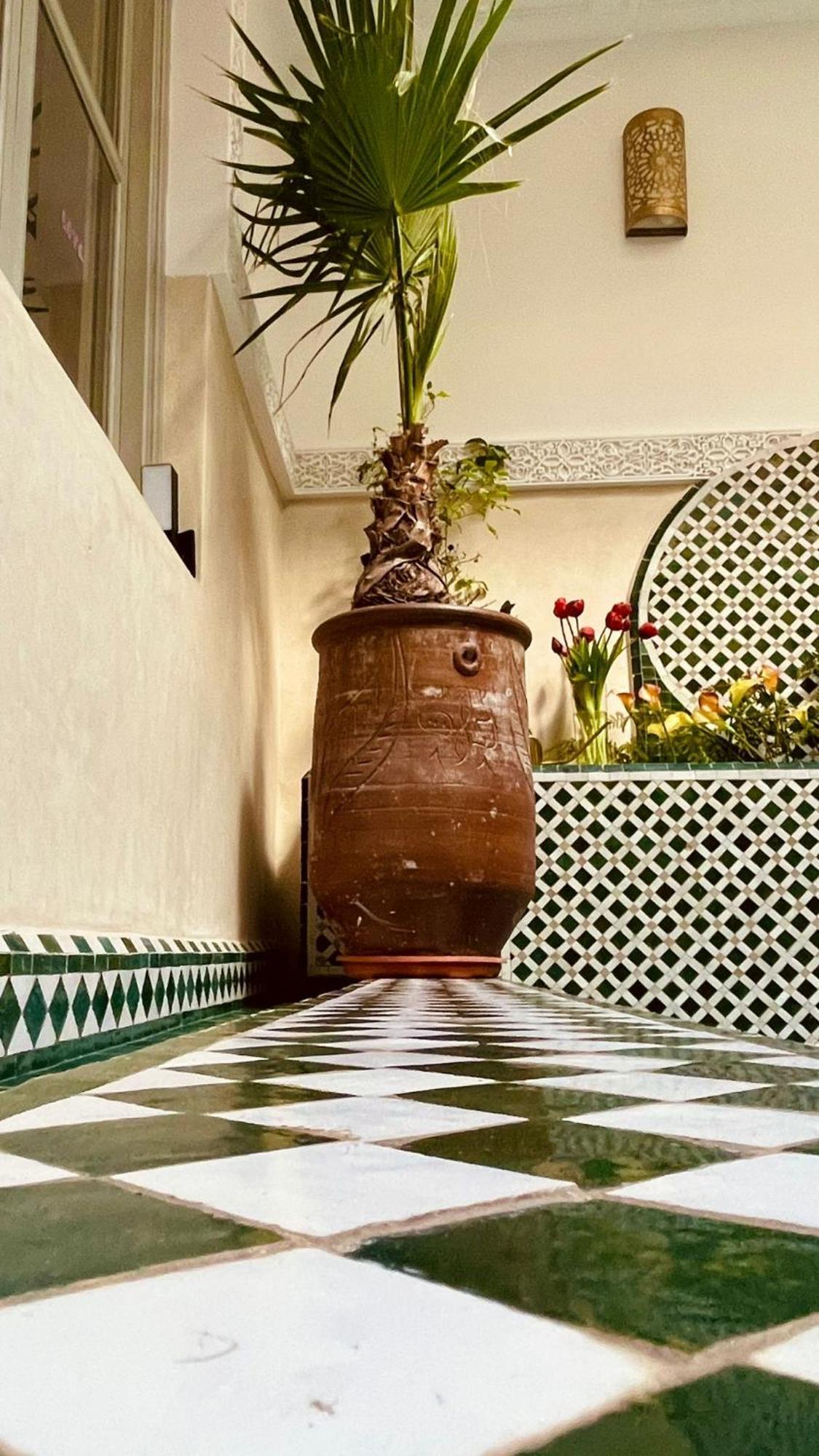 Riad Magnolia&Spa Marakeş Dış mekan fotoğraf